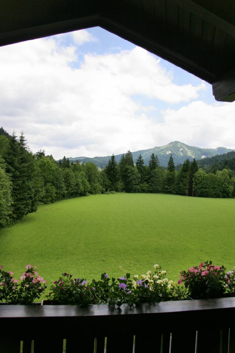 Ausblick vom Zimmer